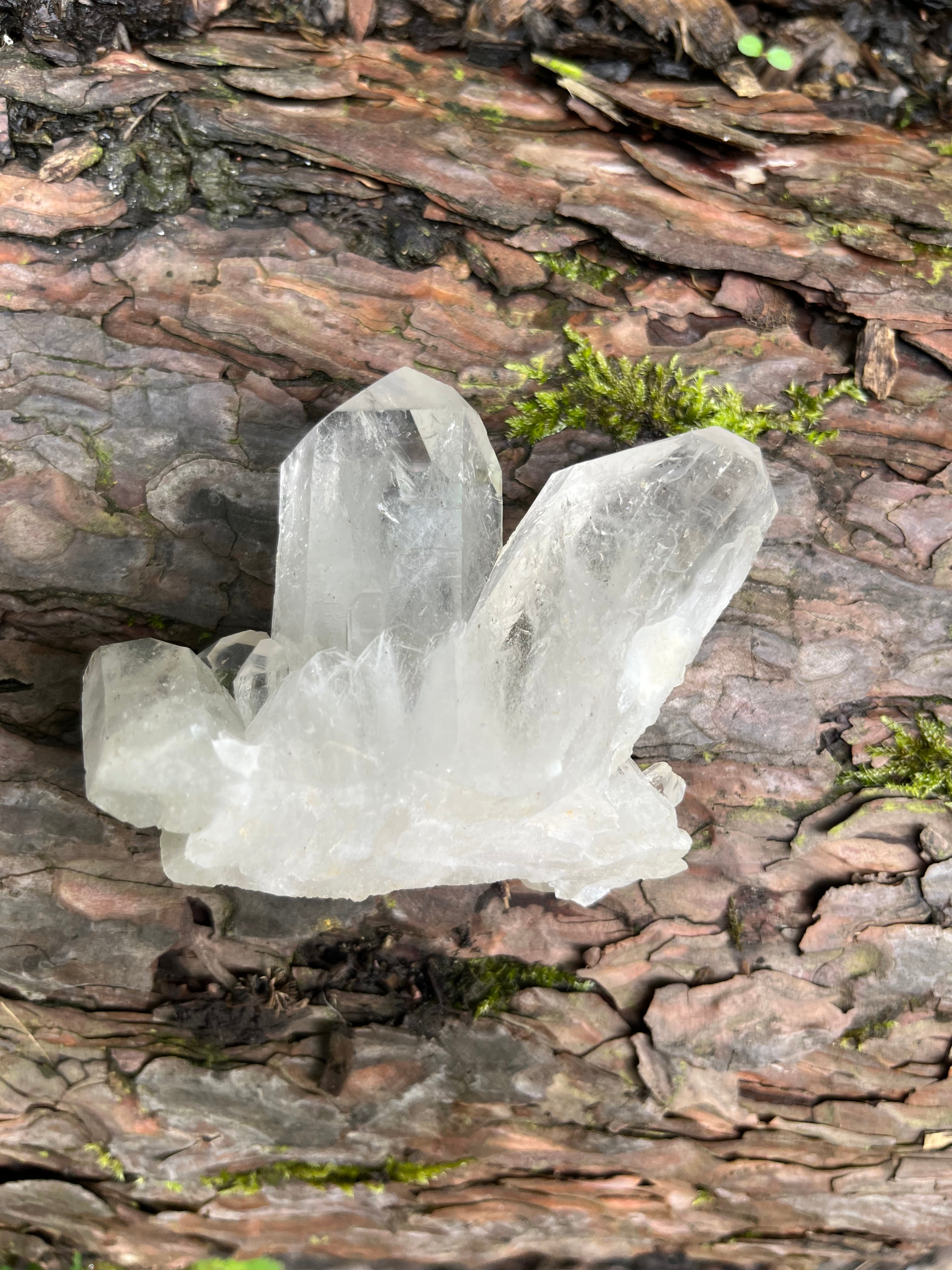 Clear Quartz high grade with channeled Arcturian light codes